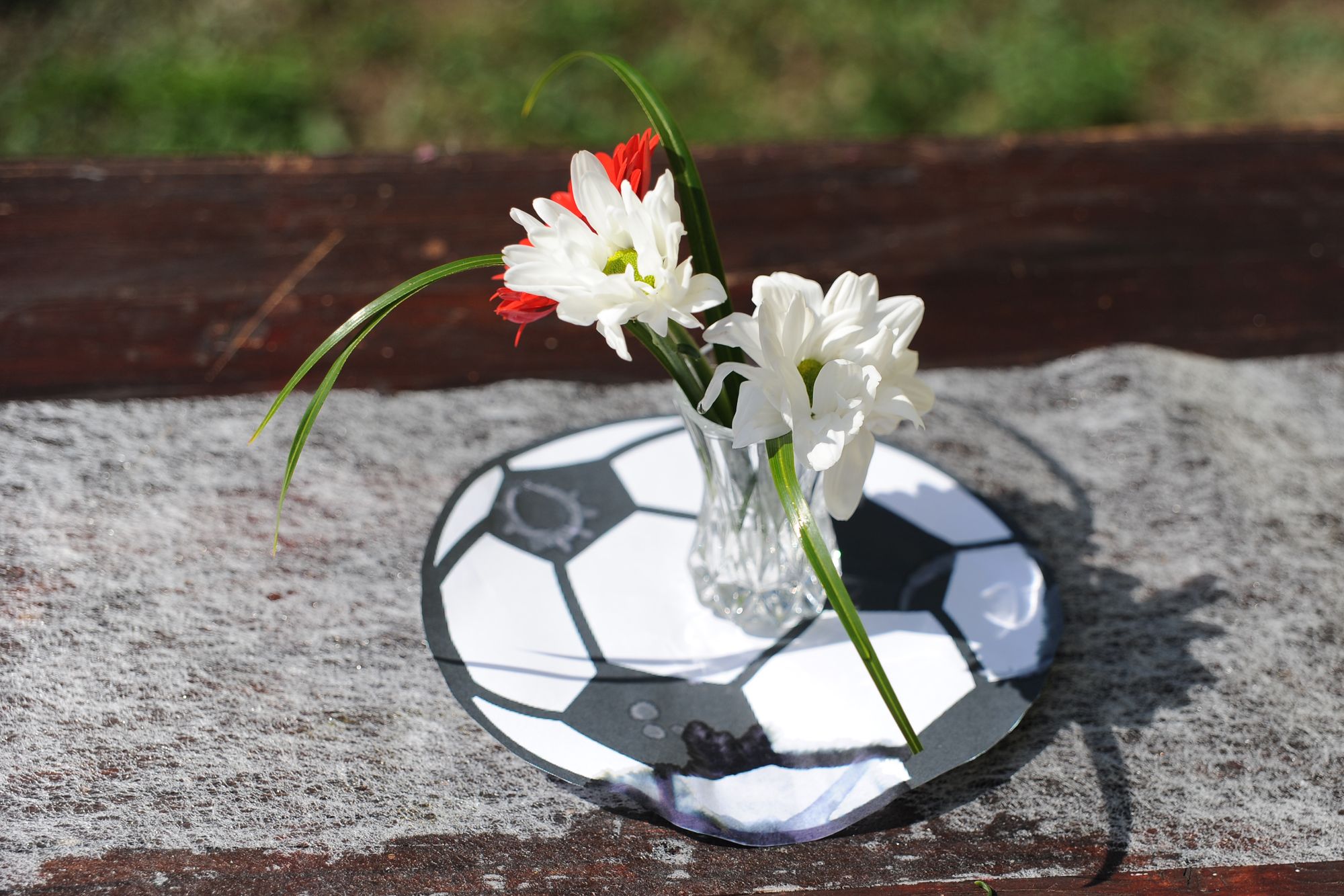 Spiel, Spaß, Spannung zum 10 jährigen Jubiläum der Wölfe