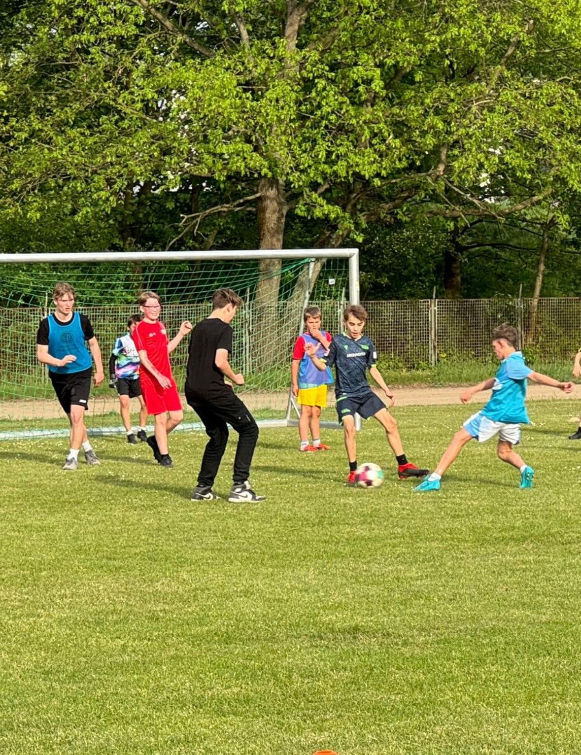 Freies Kicken bei den Wölfen