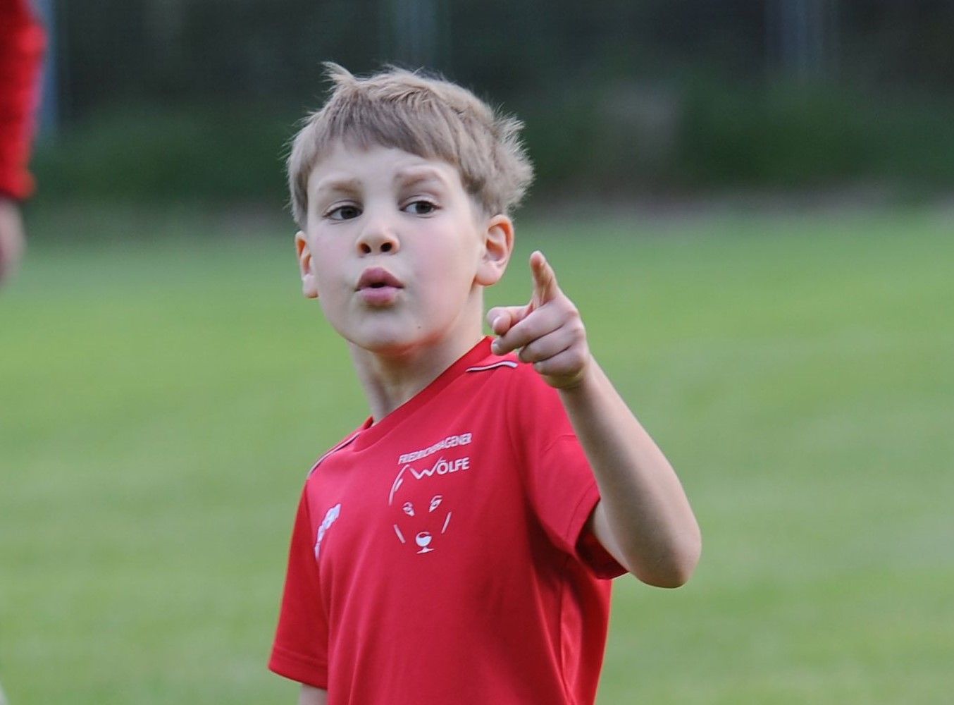 Wölfe auf Trainersuche