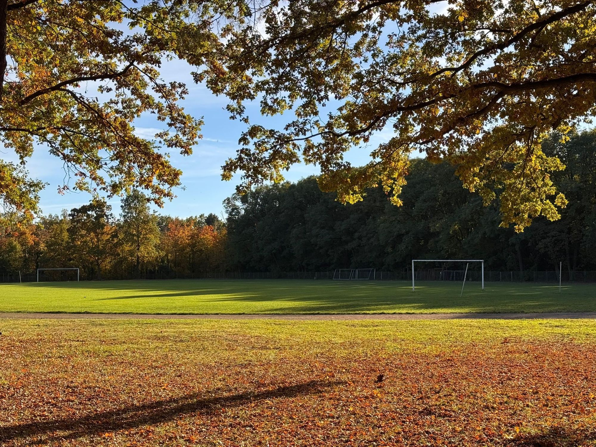 Herbst/Winter: Anpassung der Trainingszeiten und -orte