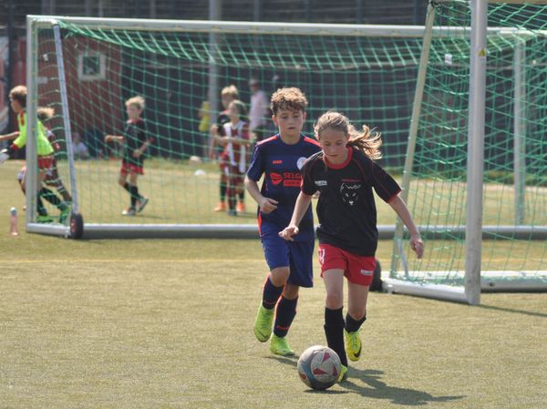 Die Wölfe gehen in die neue Saison 2020/21!