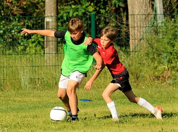 Wölfe in der Lokalpresse