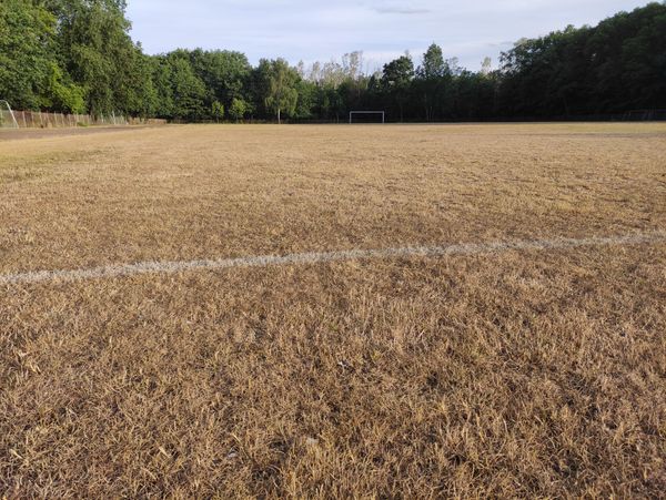 Hilferuf der Wölfe!