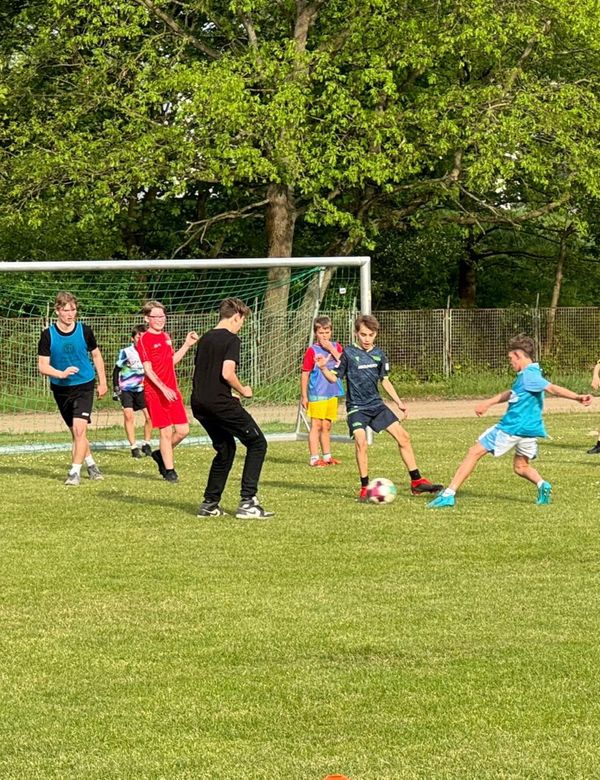 Freies Kicken bei den Wölfen