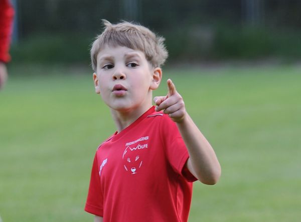 Wölfe auf Trainersuche