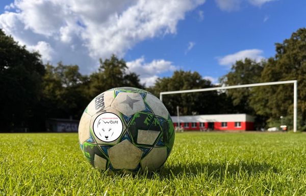 FC Friedrichshagener Wölfe: Kommende Spiele im Überblick