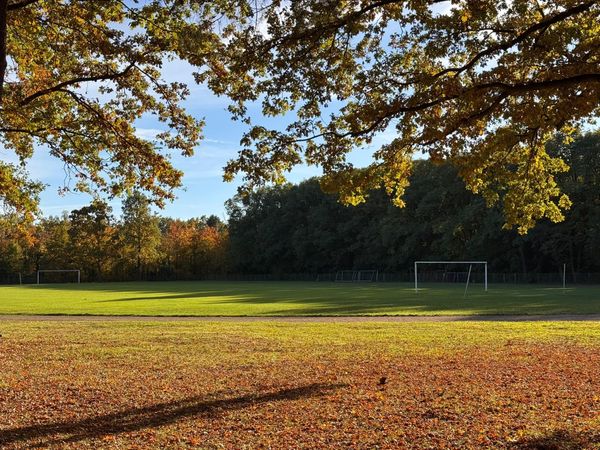 Herbst/Winter: Anpassung der Trainingszeiten und -orte